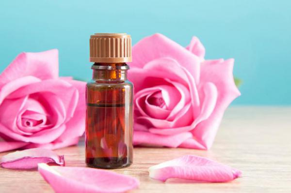 Las maravillosas cualidades del aceite de Rosa Mosqueta
